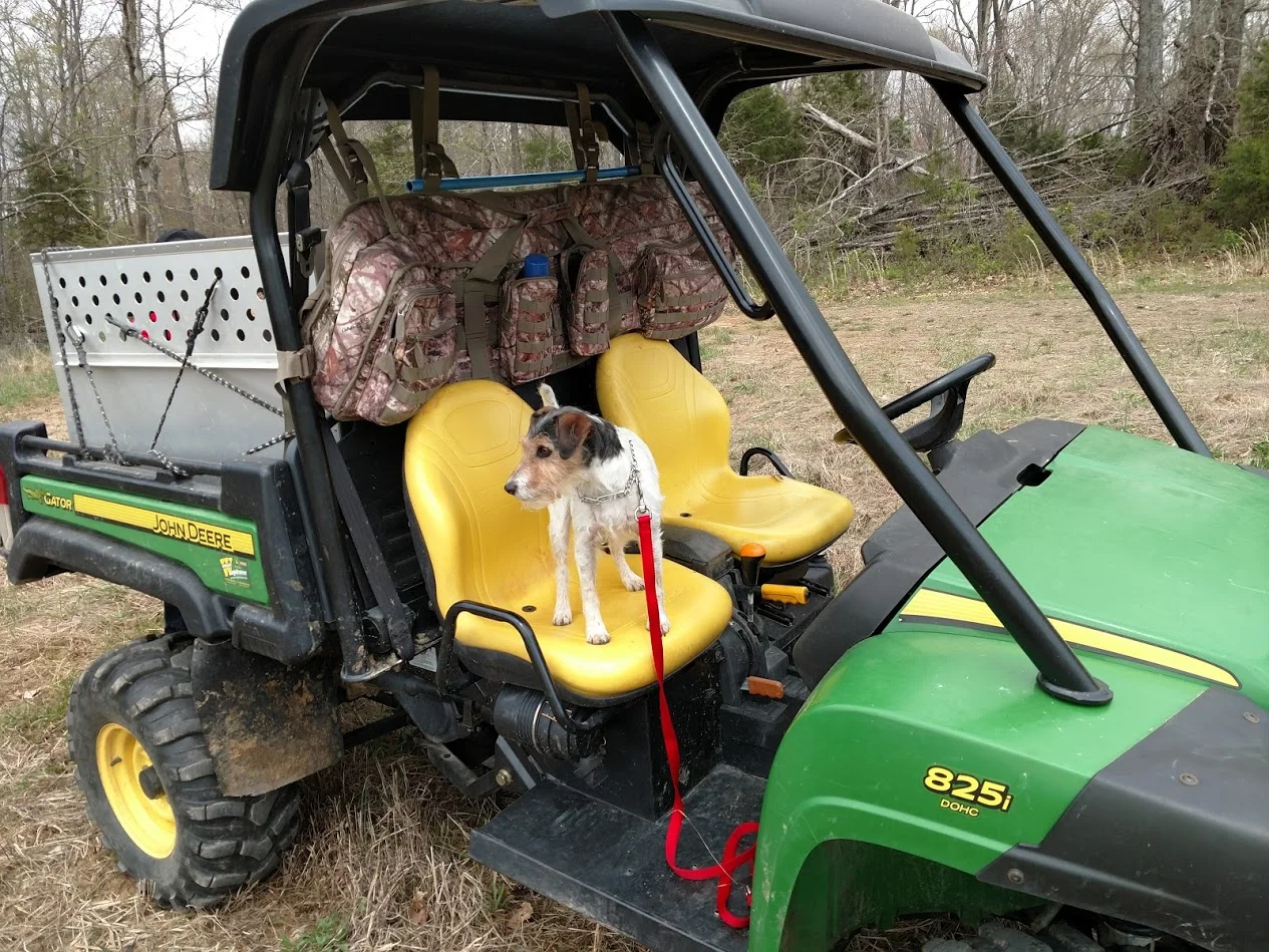 pocket riding shotgun.jpg