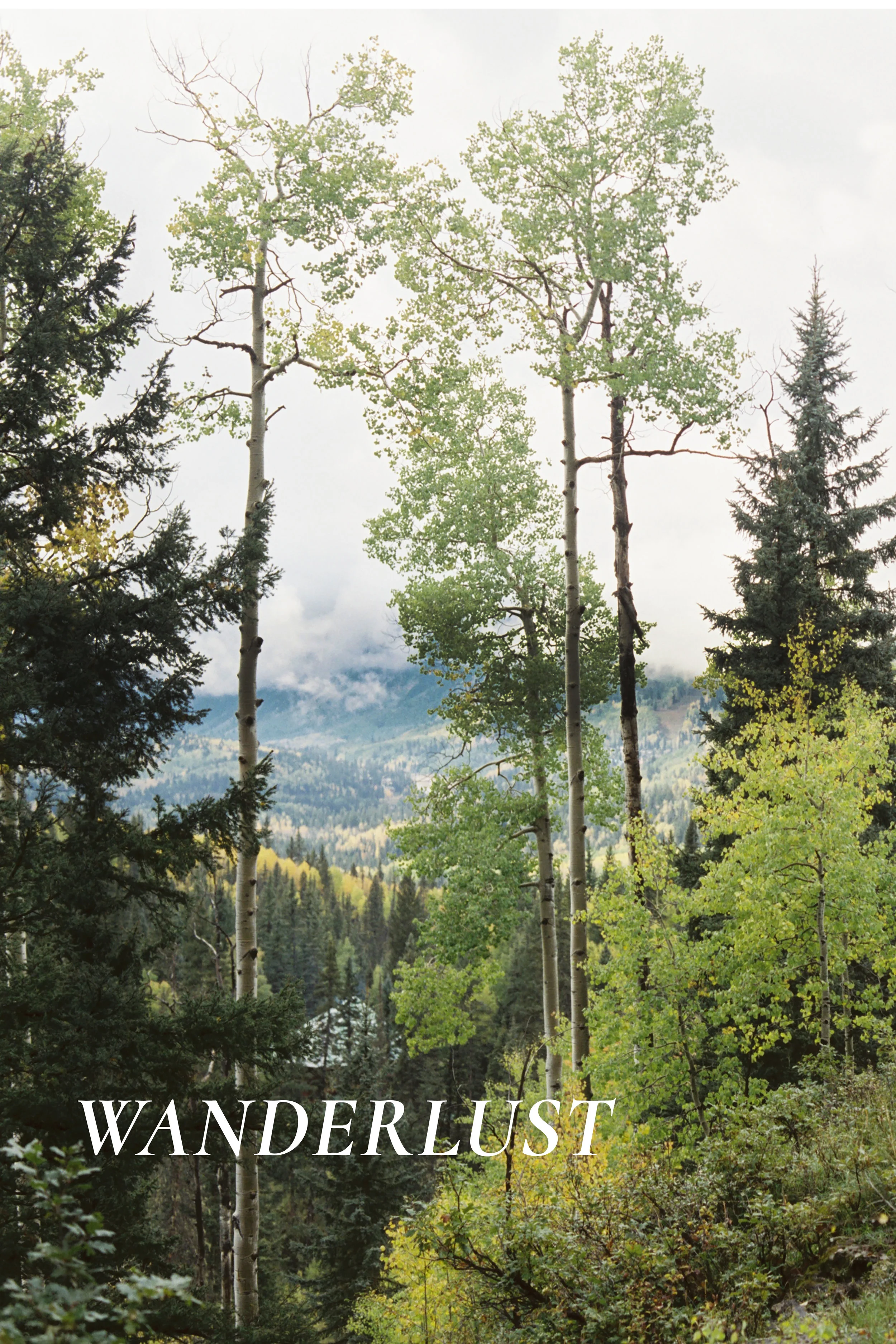 Wanderlust.jpg