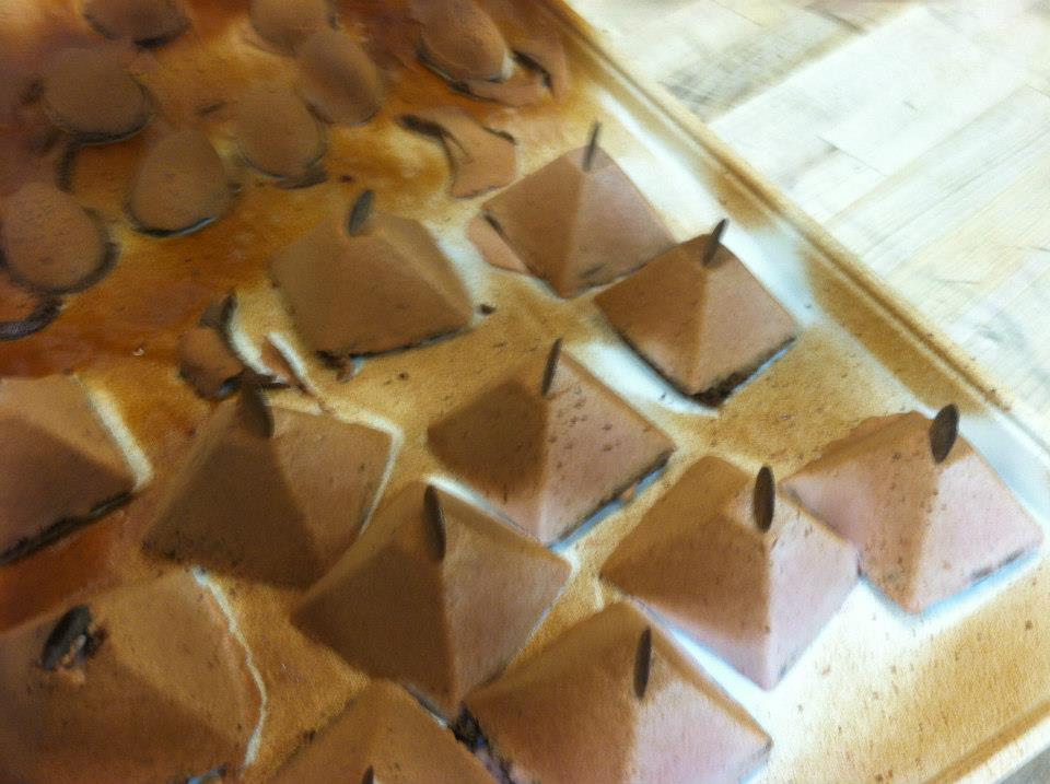 Chocolate Mousses and Raspberry Bavarians