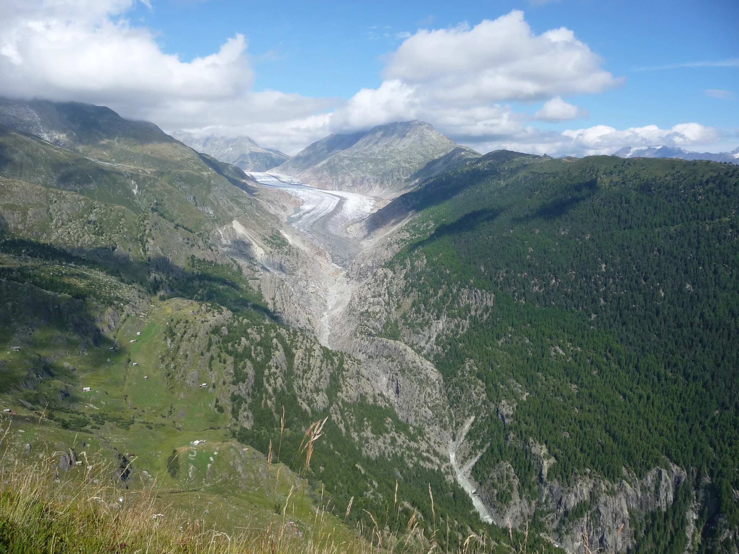 P1030544.JPG