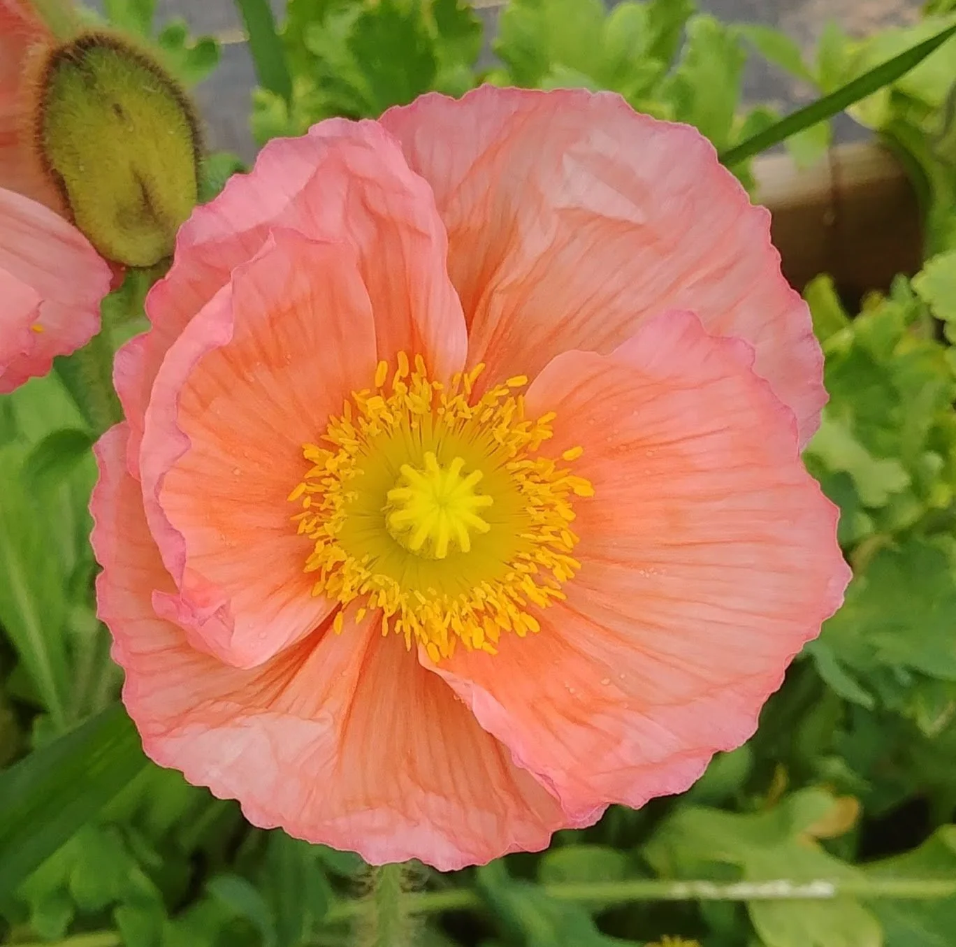 20180515_113720.jpg