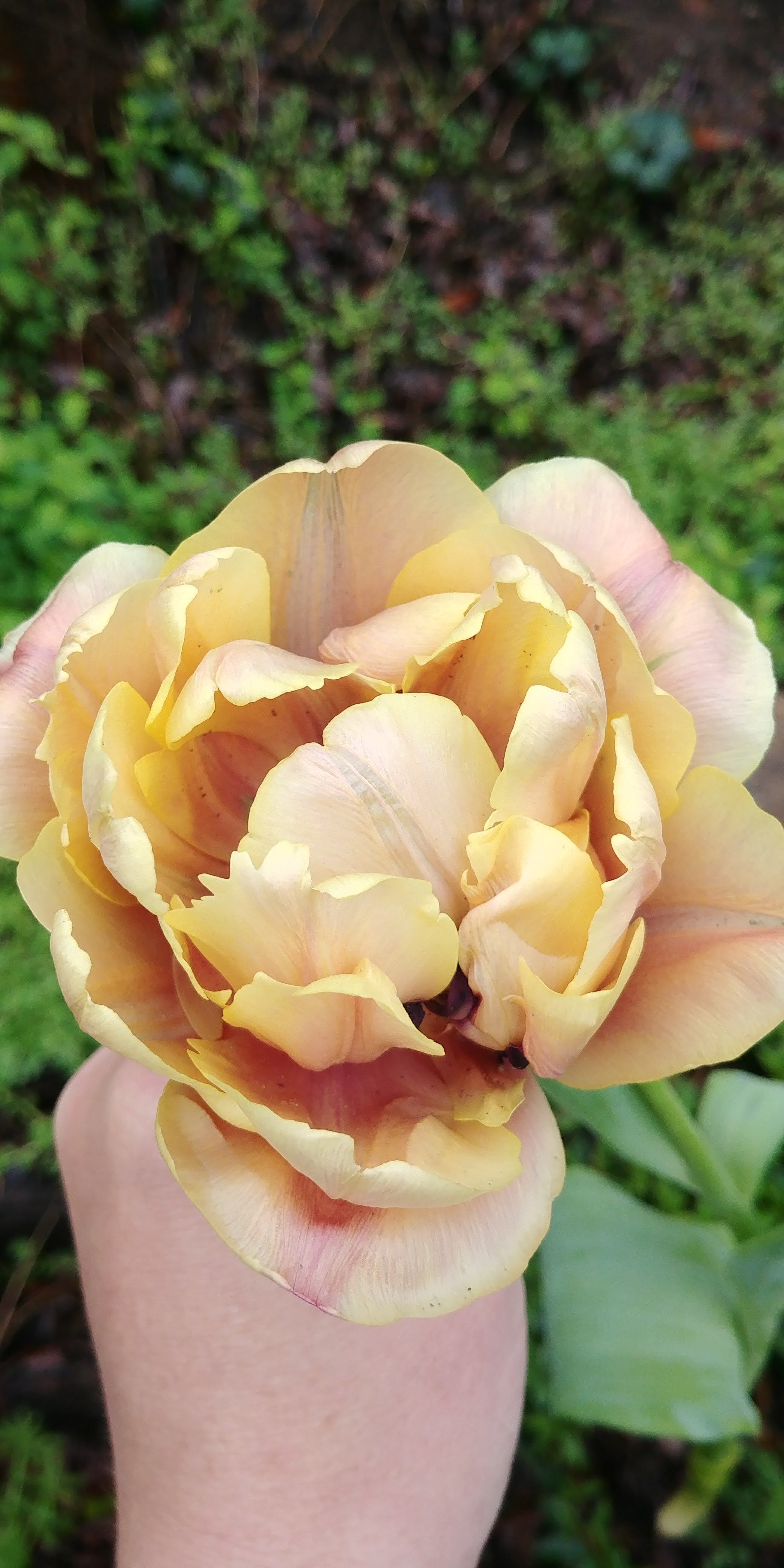 20180320_101538.jpg
