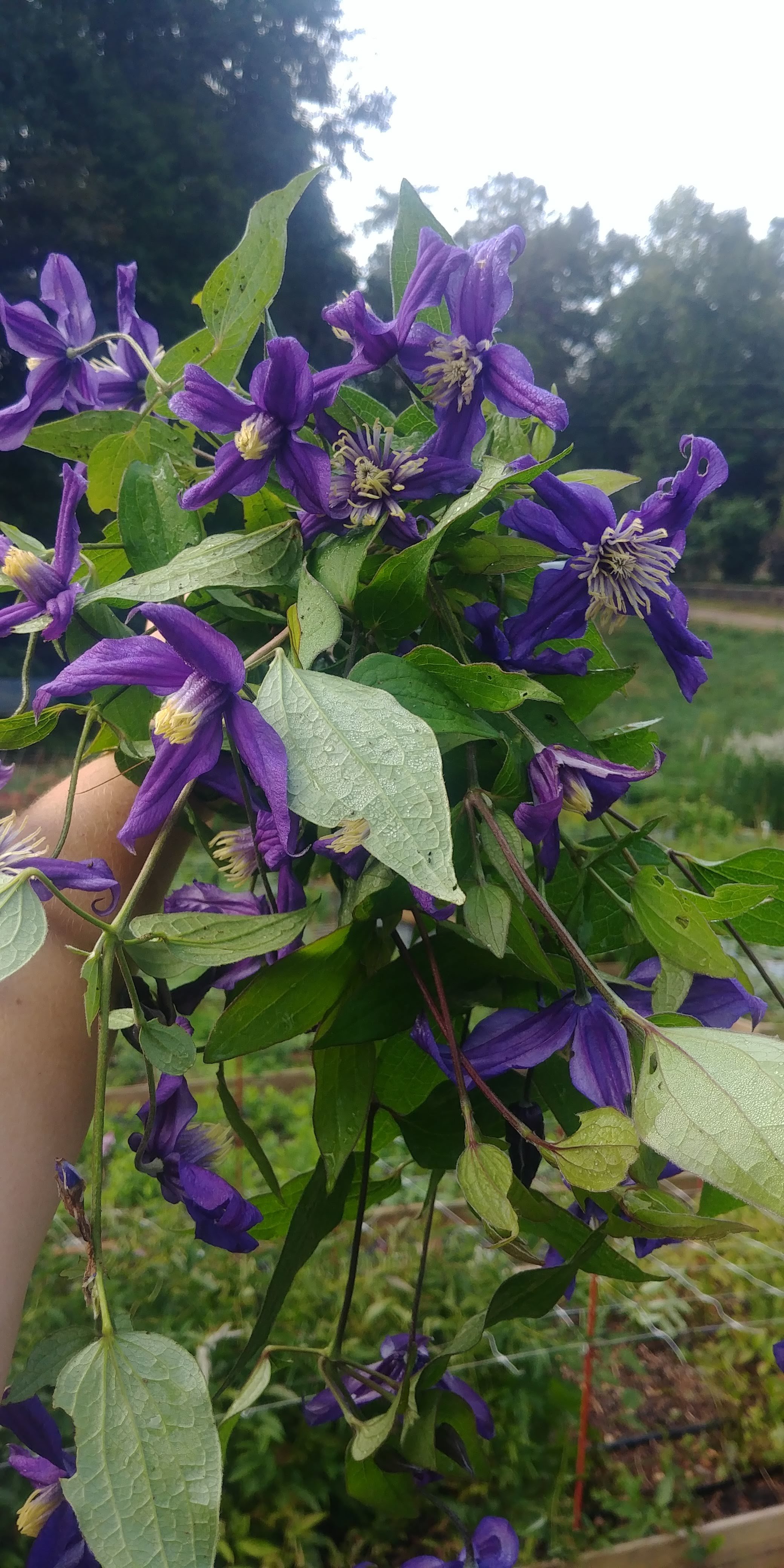 20180912_090446.jpg