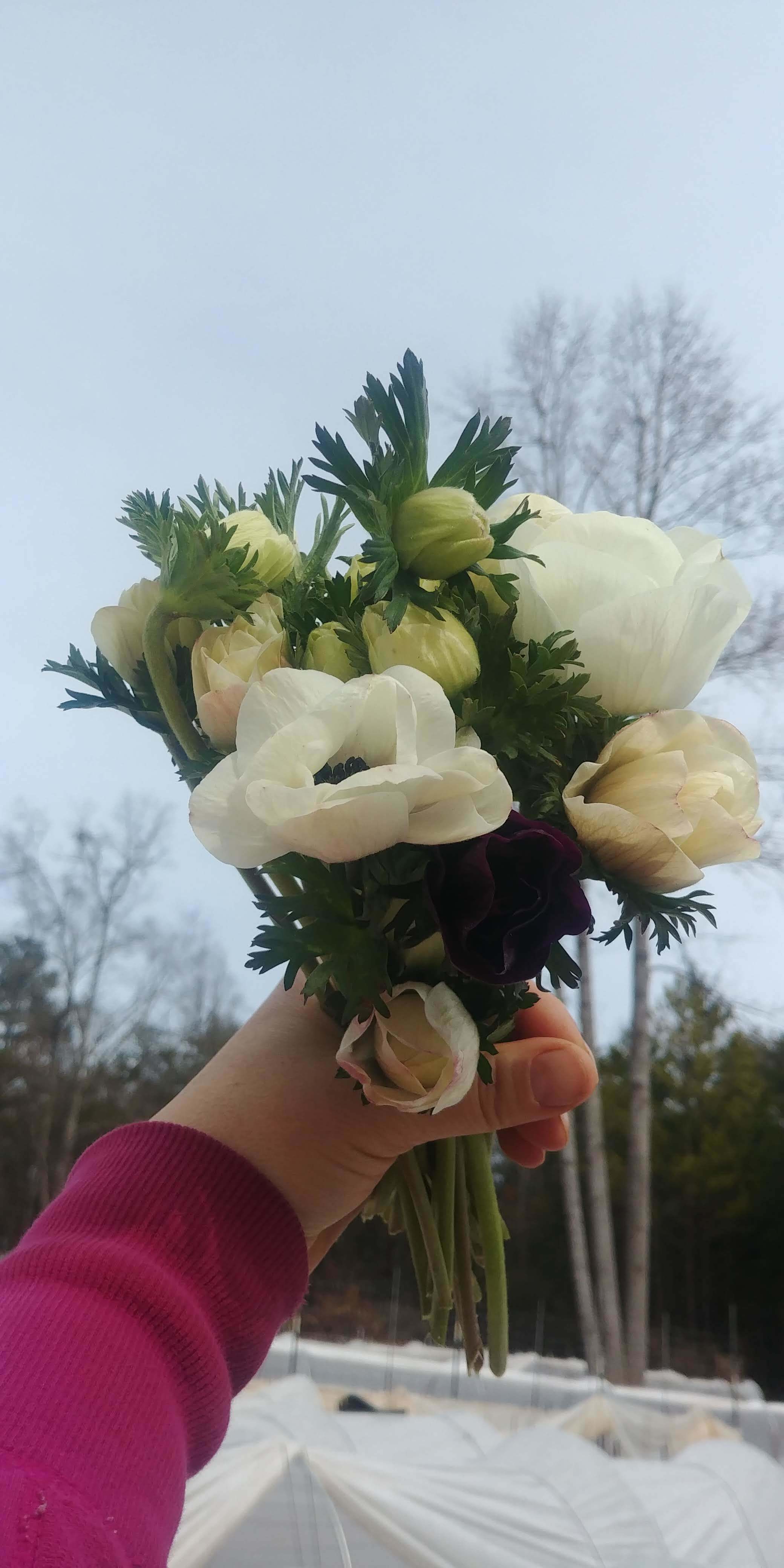 20190127_114446.jpg