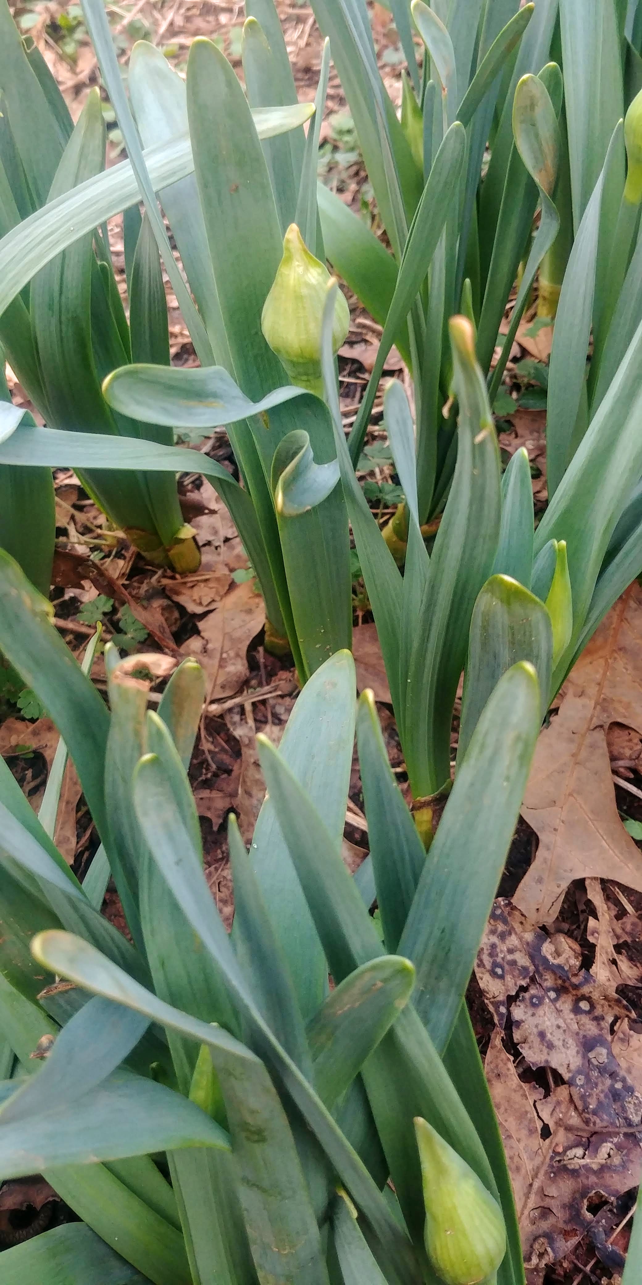 20190216_164332.jpg