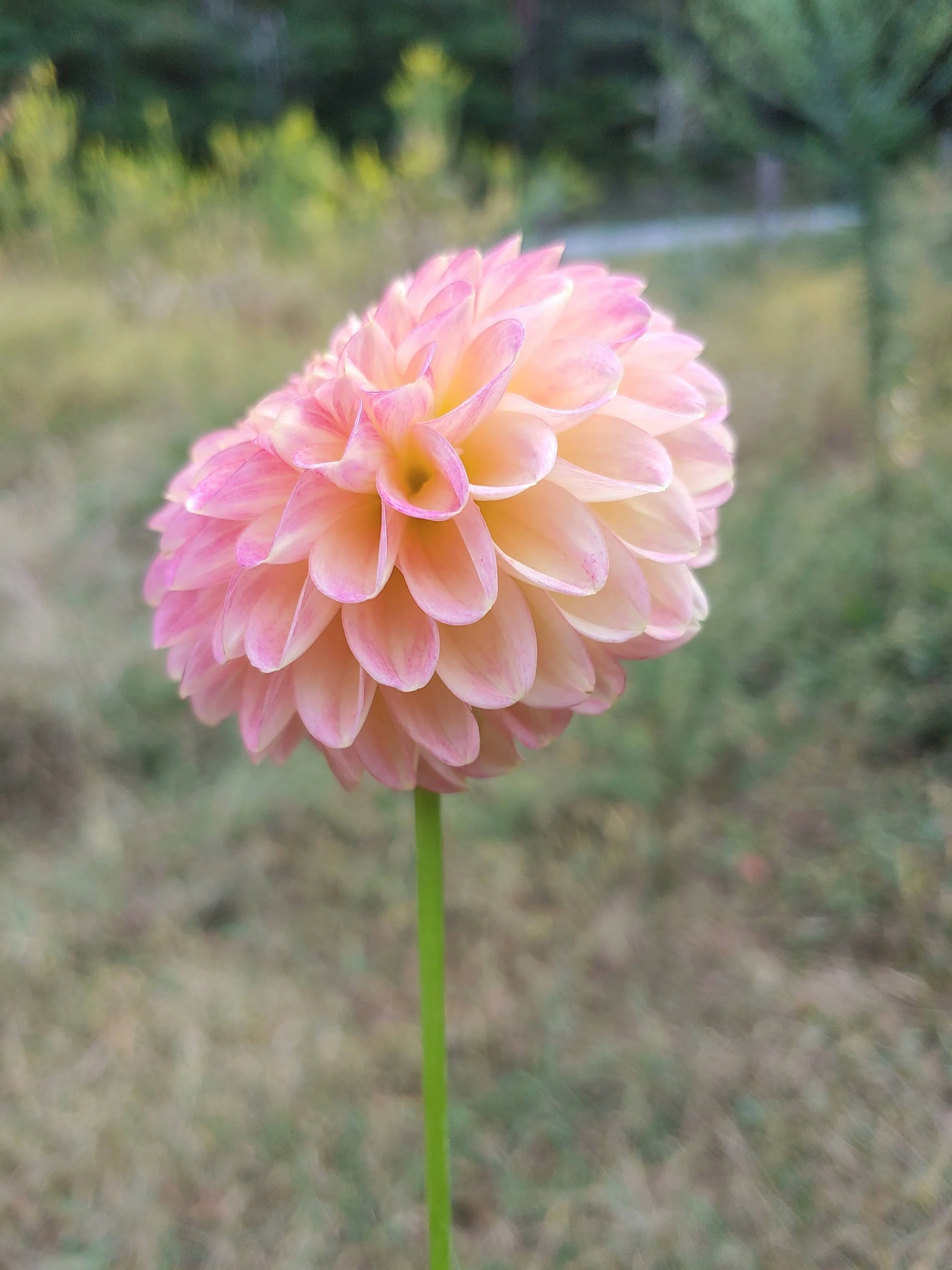 20210913_172642.jpg
