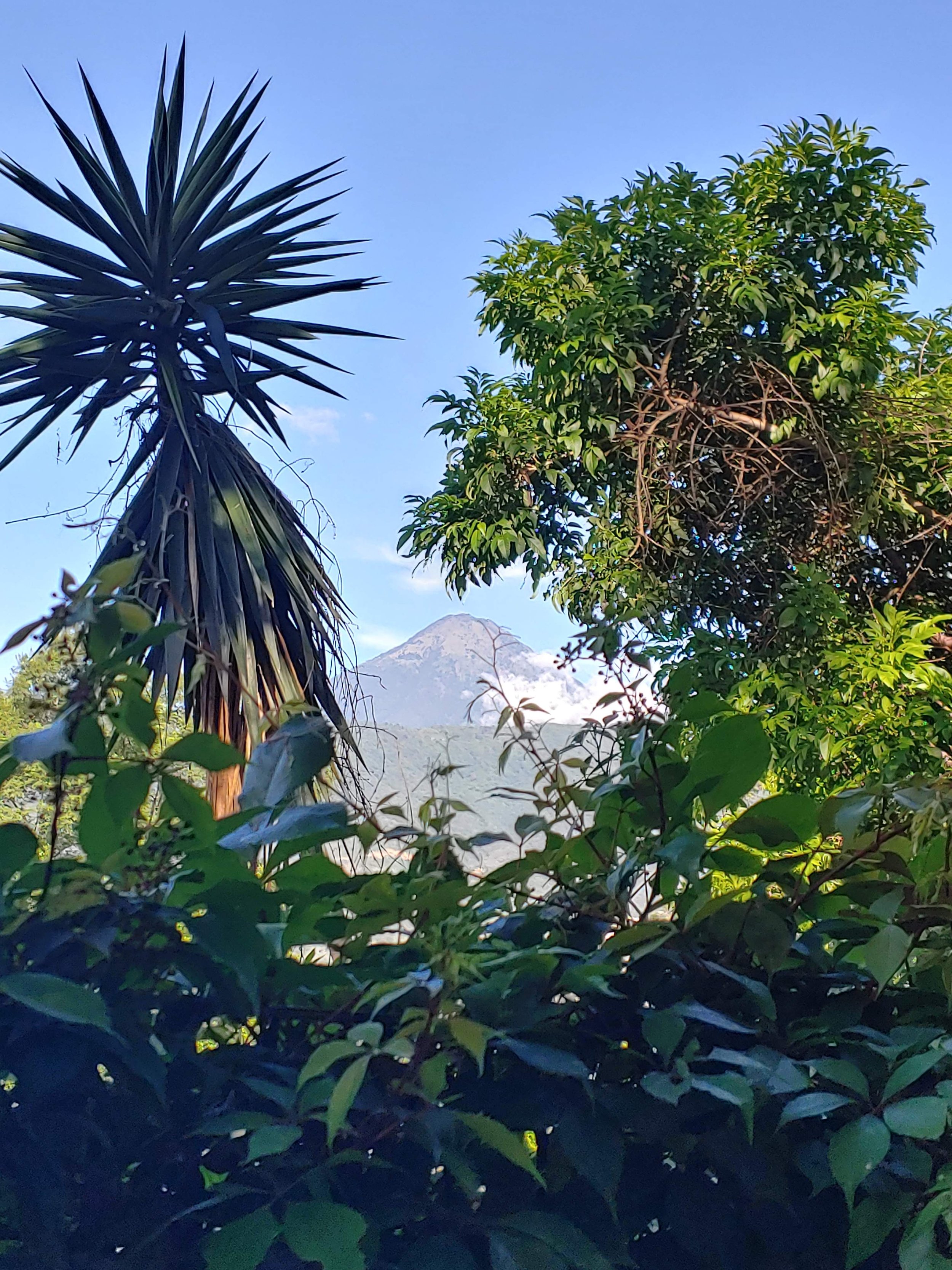 Volcan Agua in background