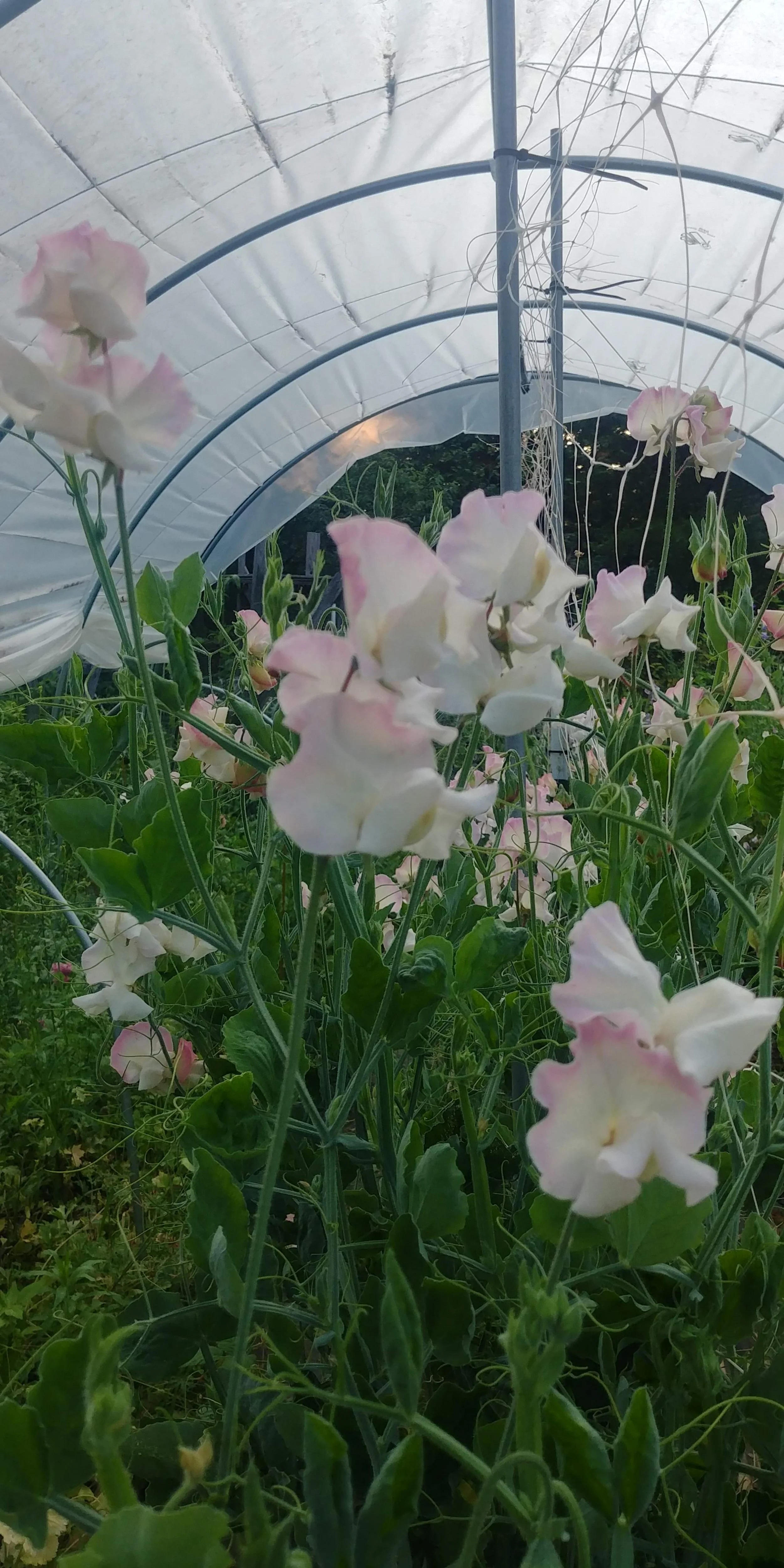 20190519_072400_HDR.jpg