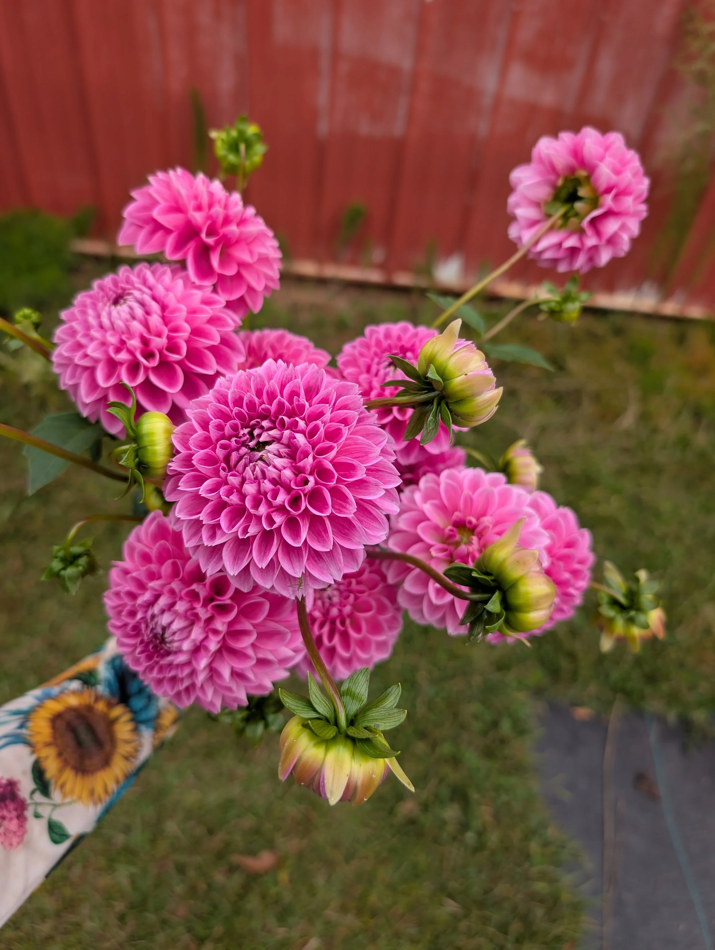 PXL_20251005_152755347.jpg