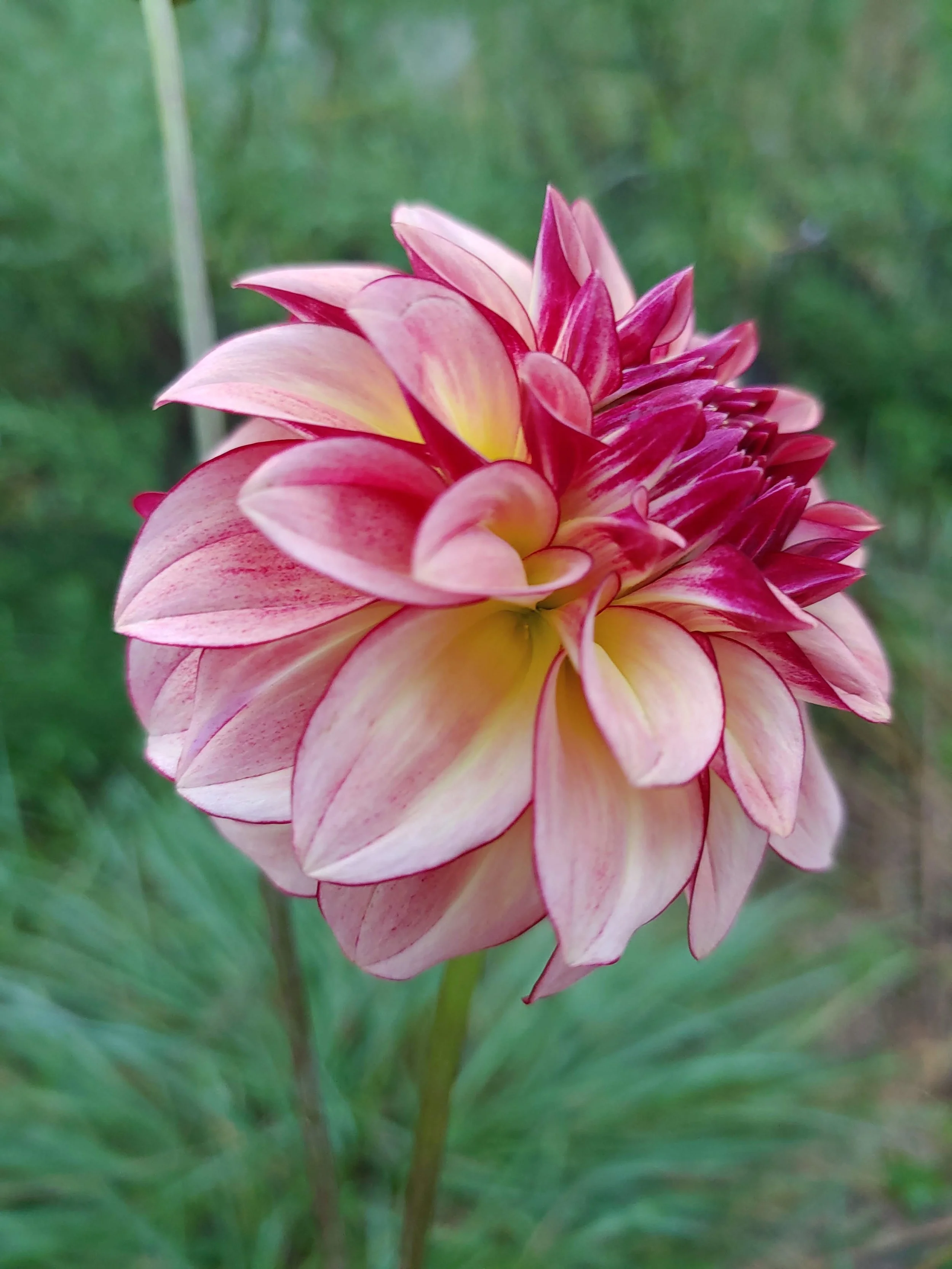 20230906_073444 (1).jpg