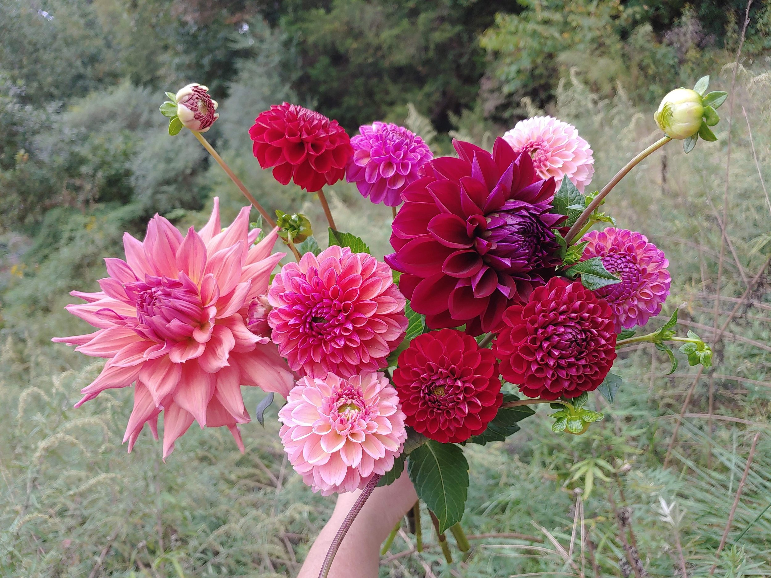 20230927_142529 (2).jpg