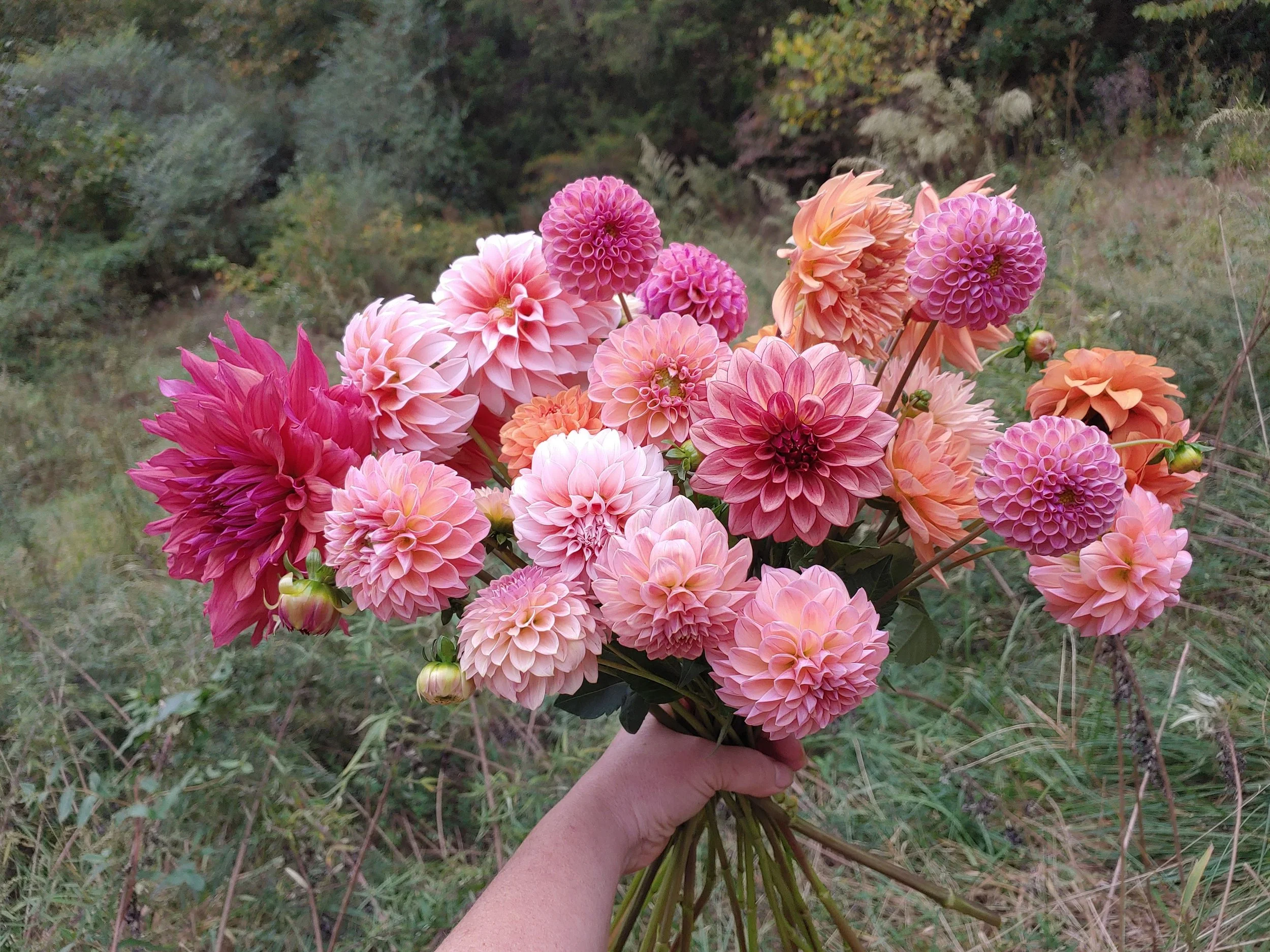 20231011_141942 (1).jpg