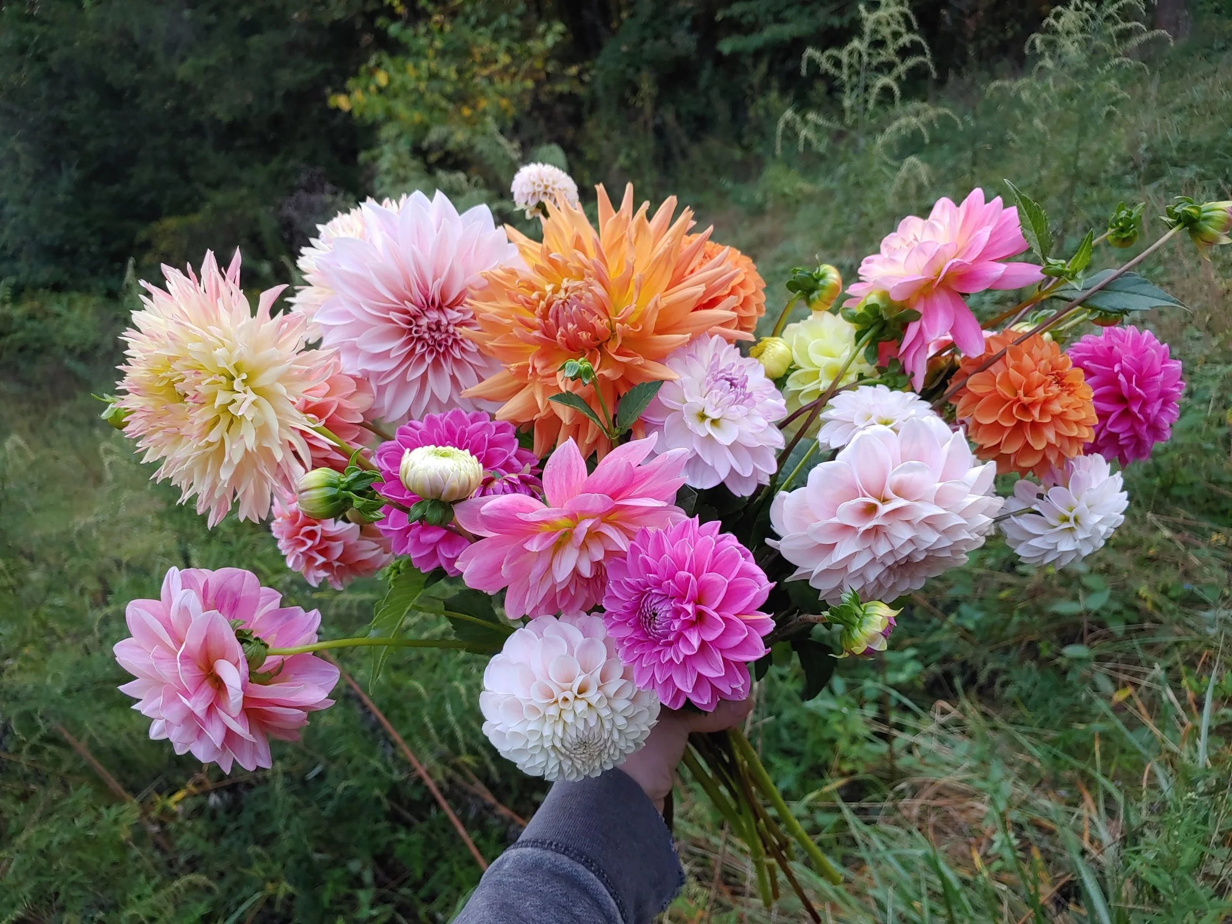 20231005_081435 (1).jpg