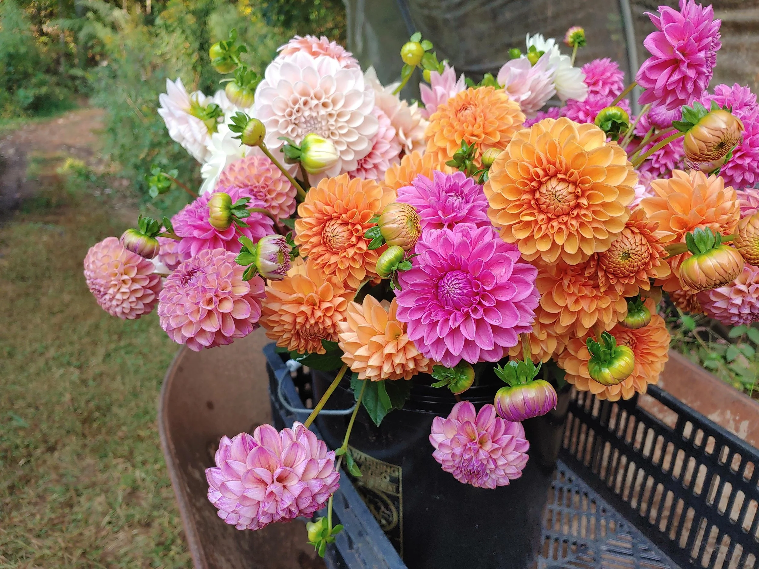 20231004_093016(1) (2).jpg