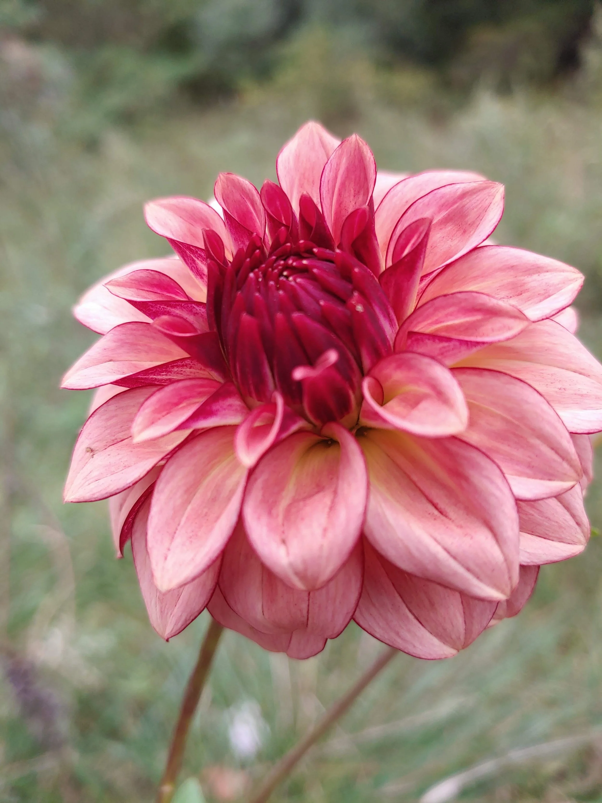 20231011_134649 (2).jpg