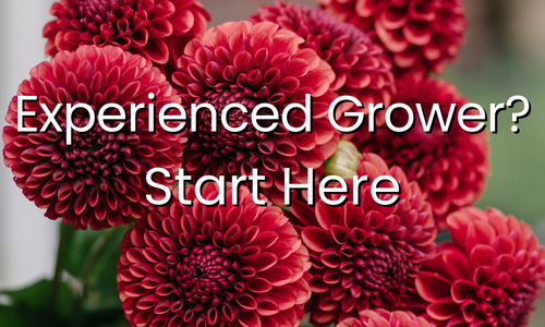 New Grower Start Here (1).png