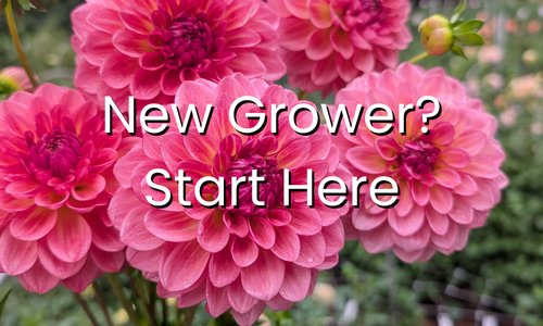 New Grower Start Here.png