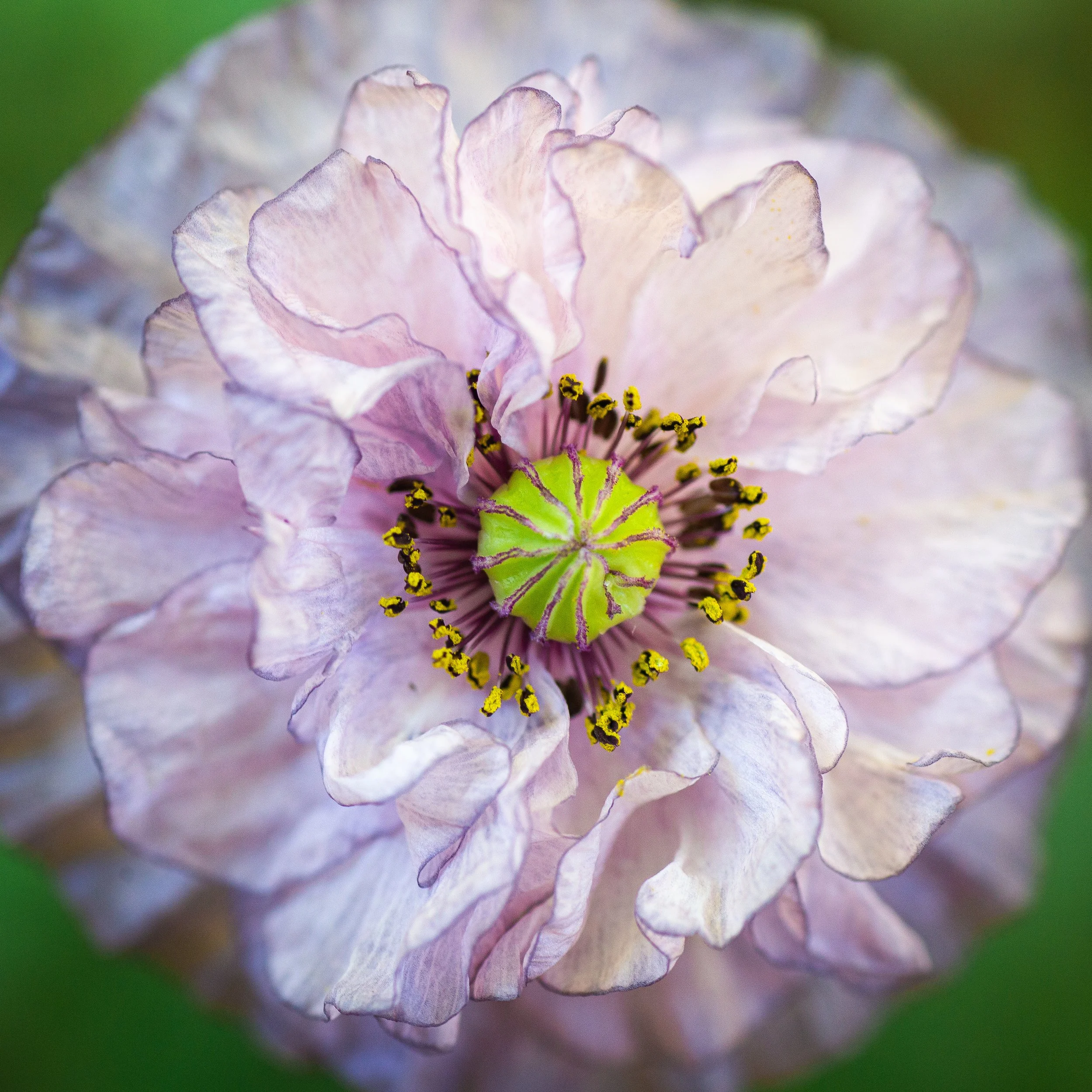 AdobeStock_461093725.jpeg