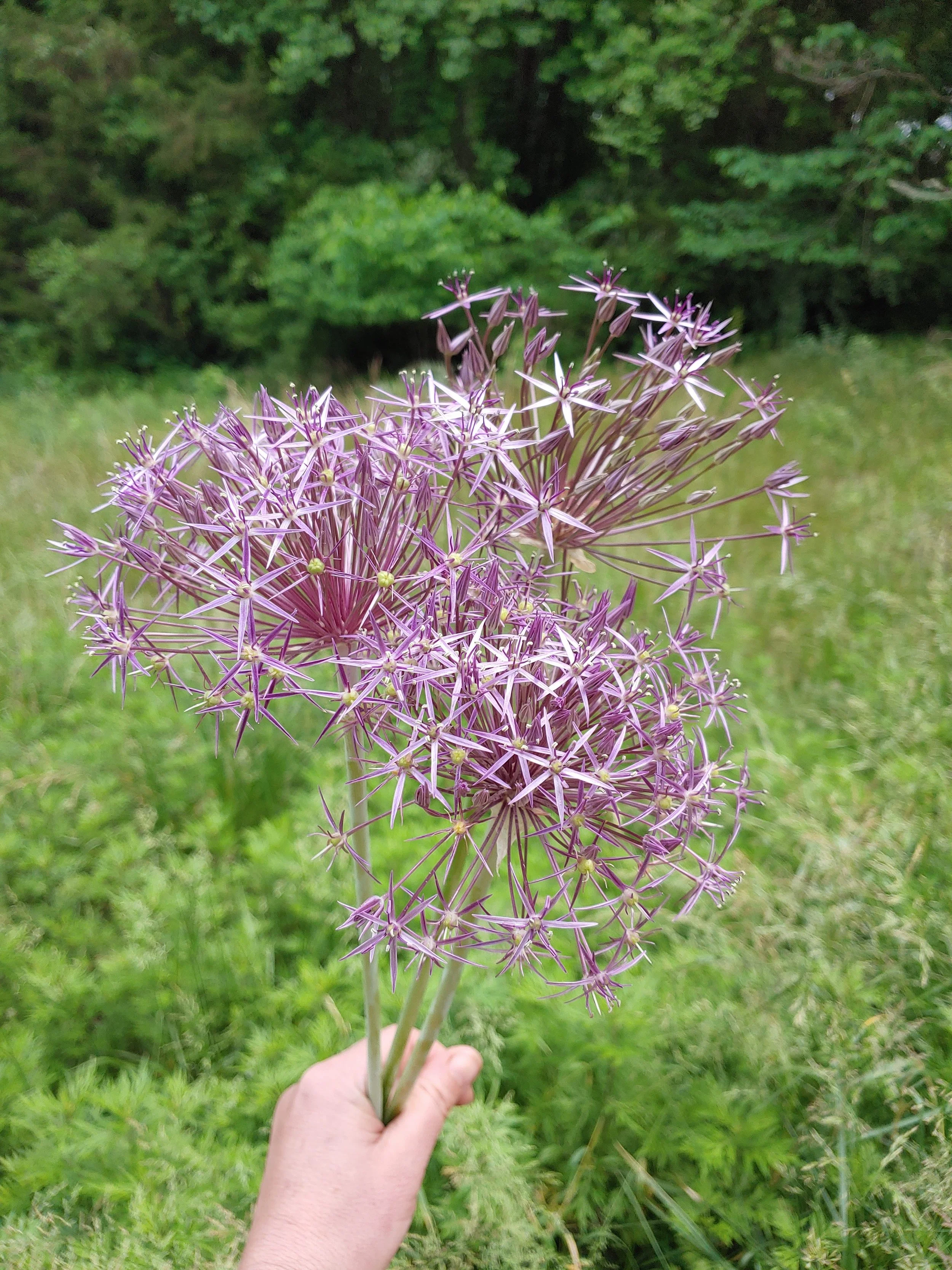 20220515_123816.jpg