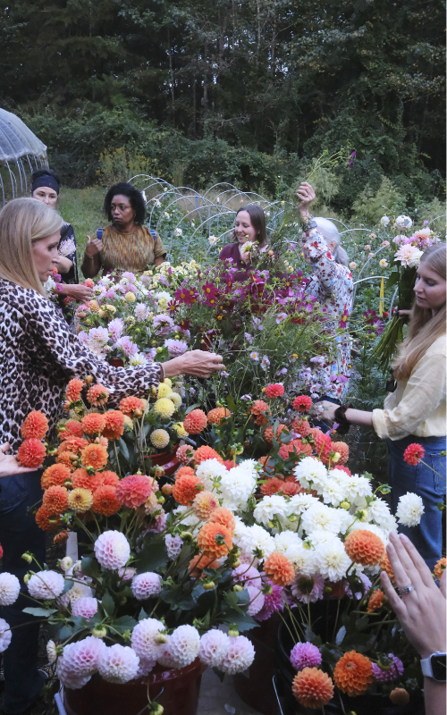 photo resizing (5).png
