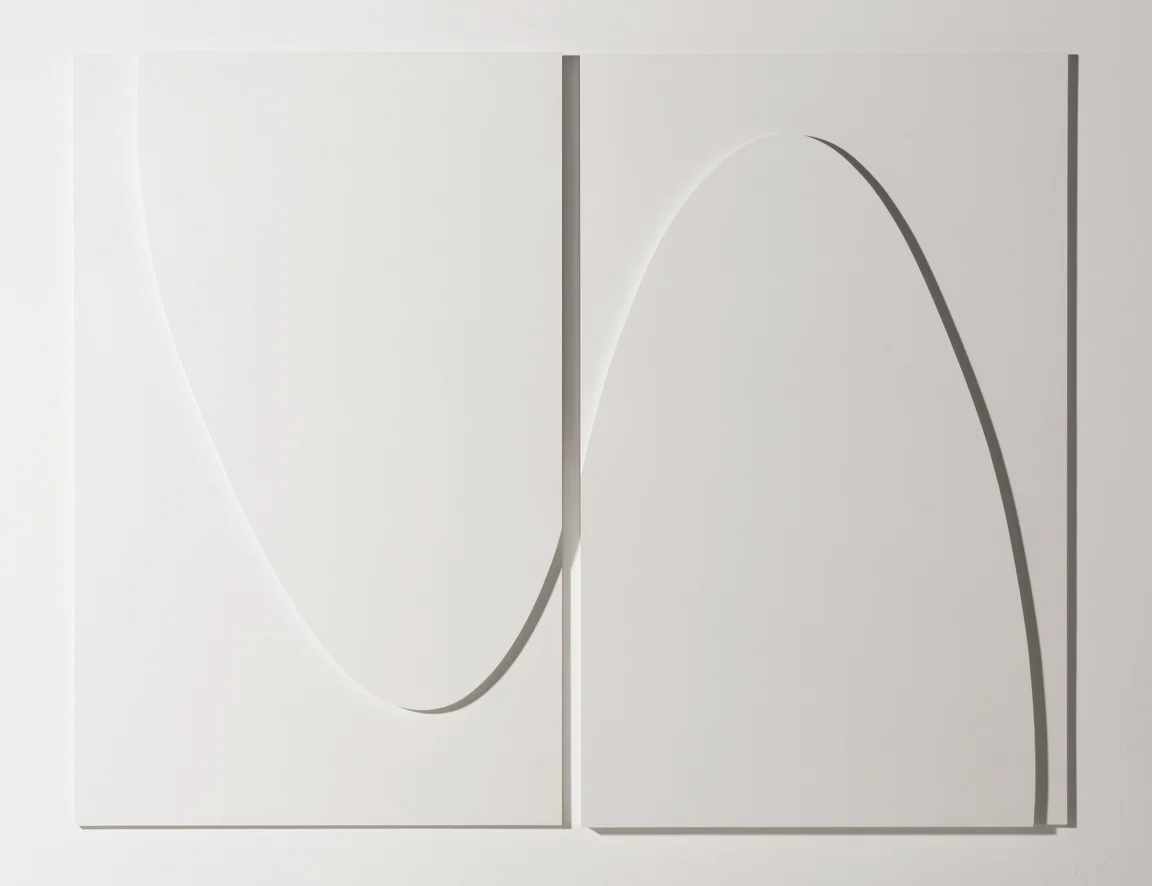 Latiguillo, 2007. Gesso on MDF 48 x 61 x 2"