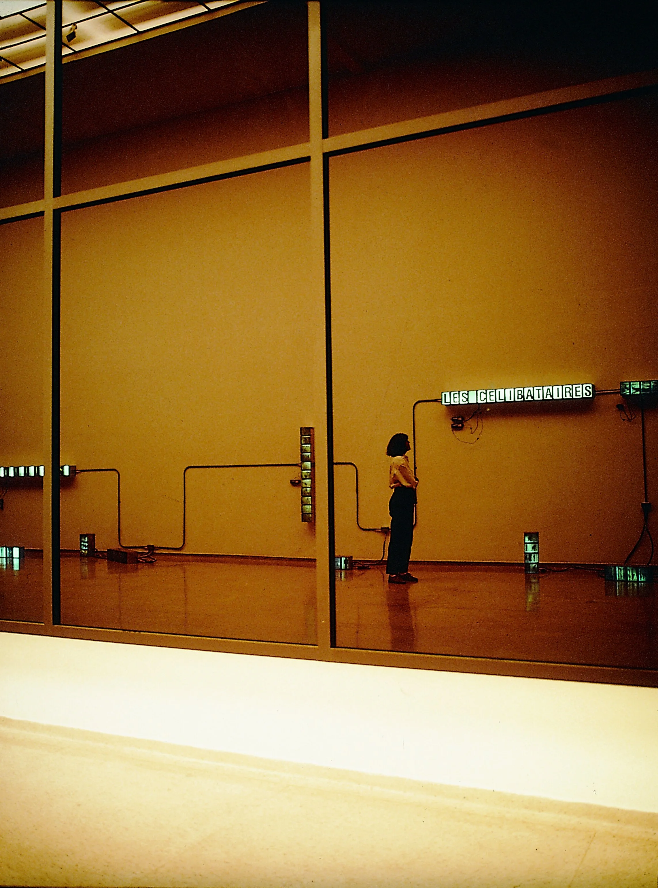 136.) 1993_0_Lescel.reflejo1 copy.jpg