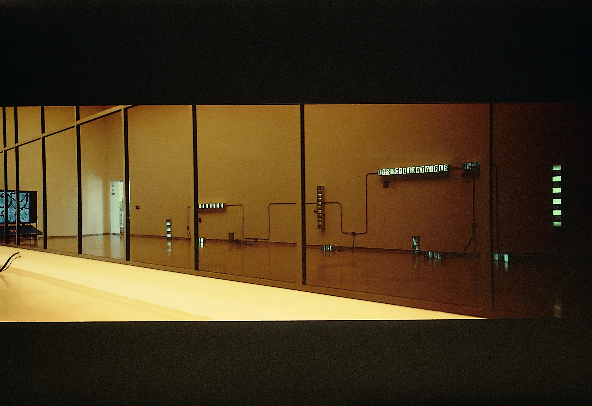 137.) 1993_0_Lescel.reflejo2 copy.jpg