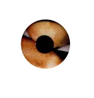 Visor1.jpg