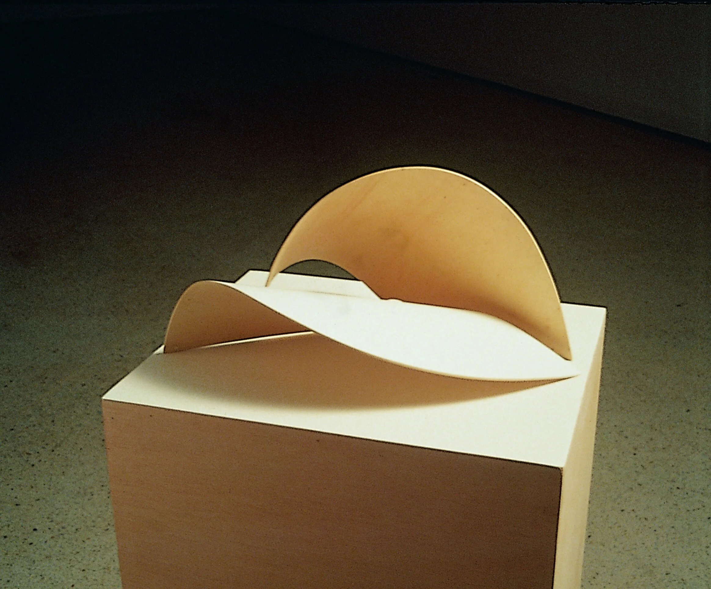 219.) 1999_0_Suerte de  mariposa_toma2.jpg