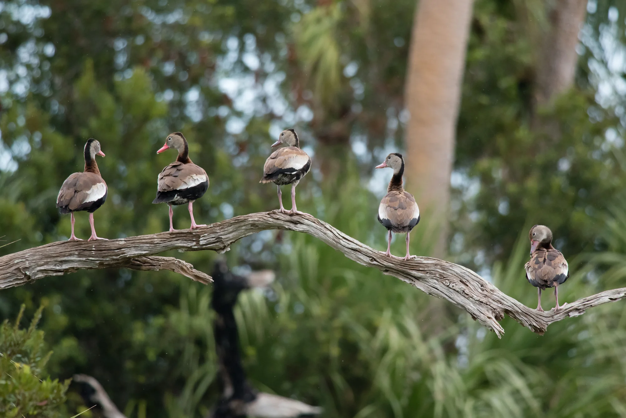 DSC_9035.jpg