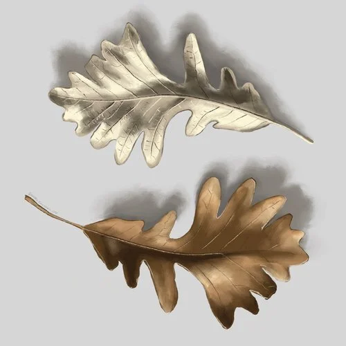 2018_10_26_Oak_Leaves.jpg
