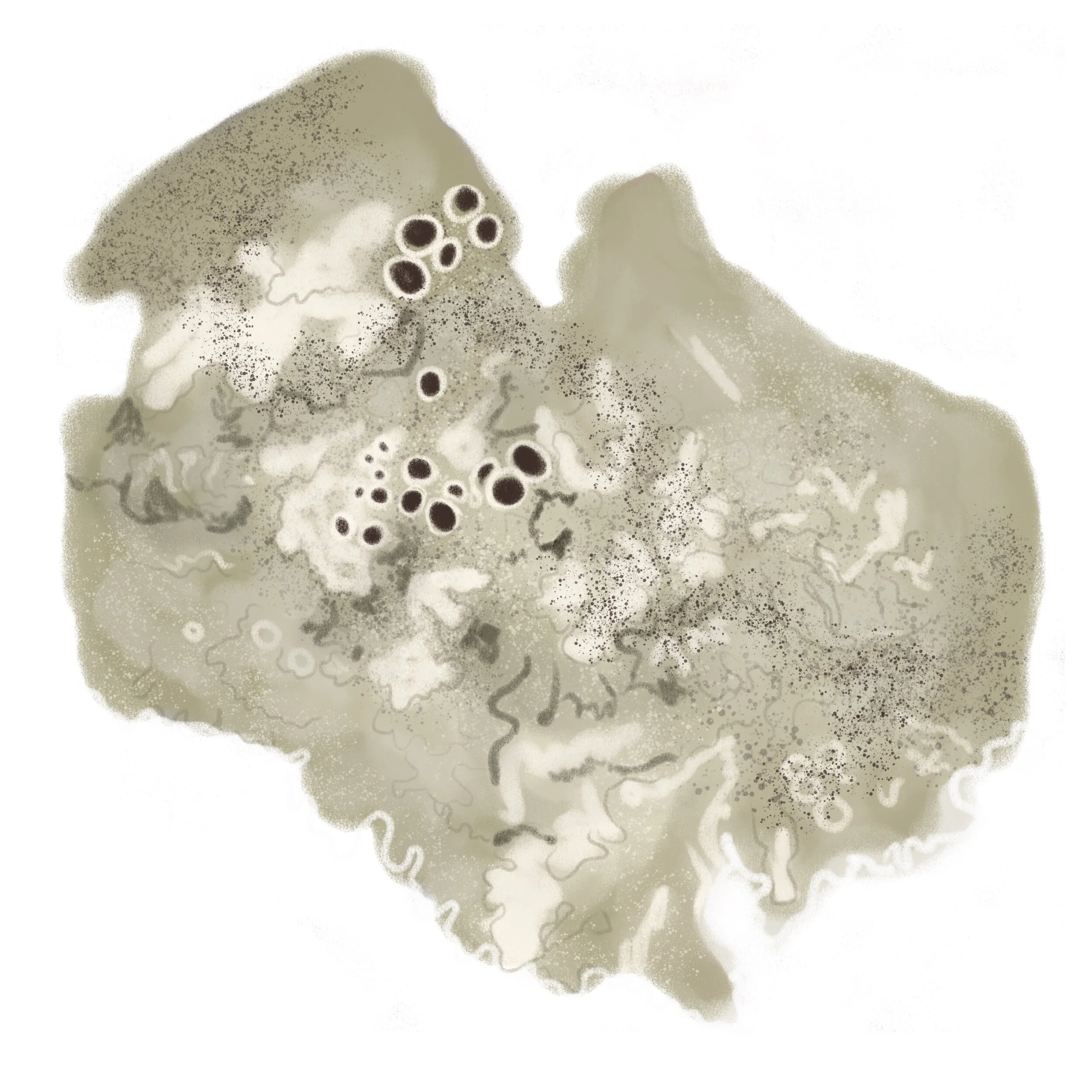 Untitled_Artwork.jpg