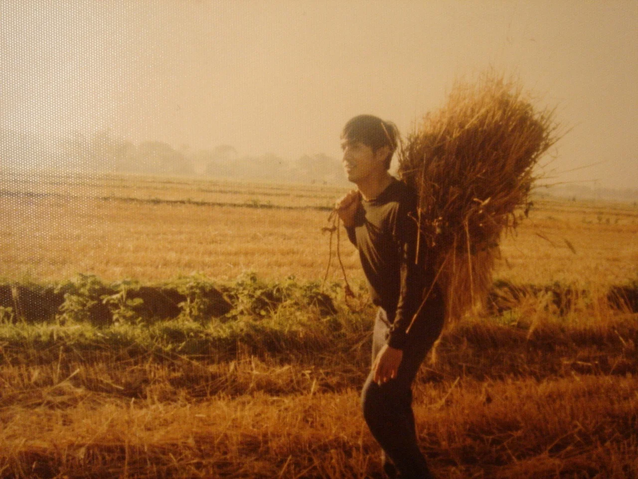 FlorCruz working on farm in late 1970s (Photo courtesy of Jaime FlorCruz)