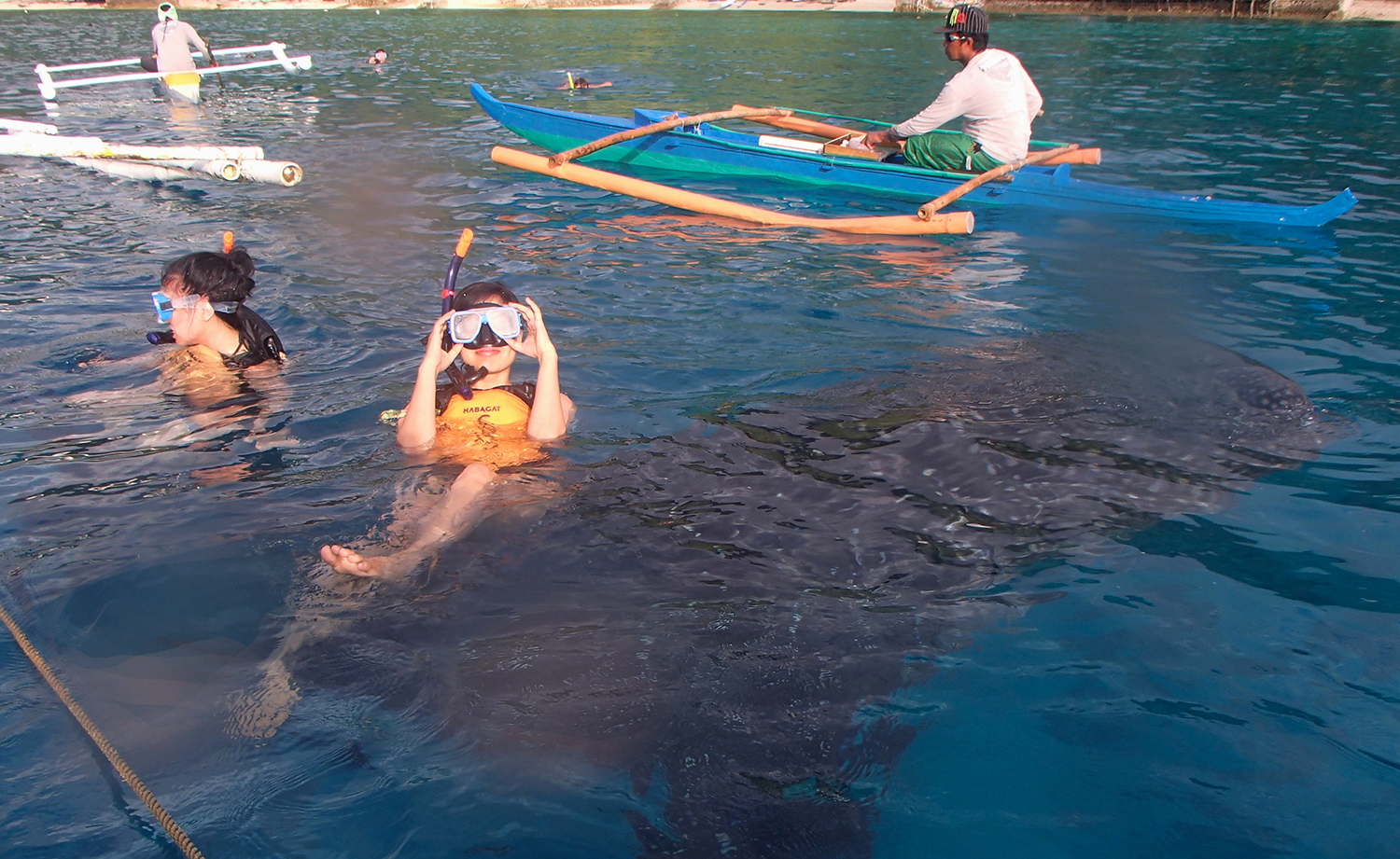 As we jumped into the water, a whale shark swam close beneath us. (Photo courtesy of Aurora Almendral)