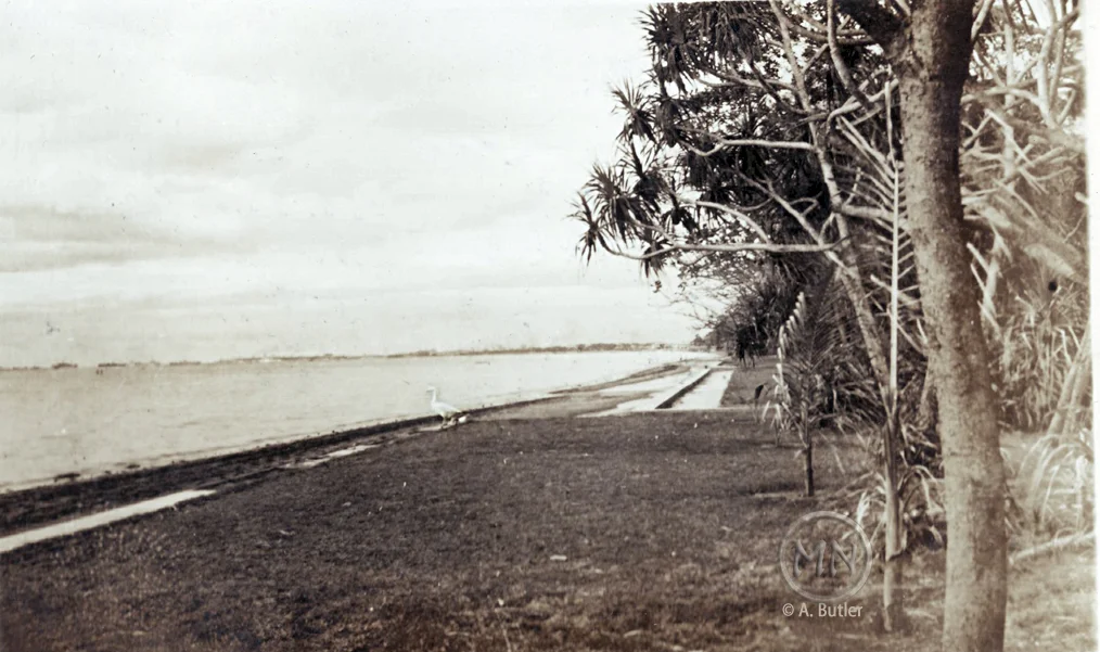Cotterman home's backyard on the beach (Photo courtesy of Andy Butler) 