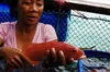 A Fish Called Lapu-Lapu — Positively Filipino | Online Magazine for ...