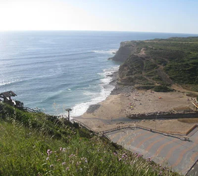 Brain Drain, Portuguese-Style