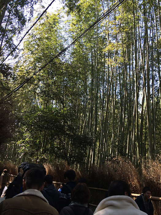 Arashiyama (Photo courtesy of Marites Vitug)