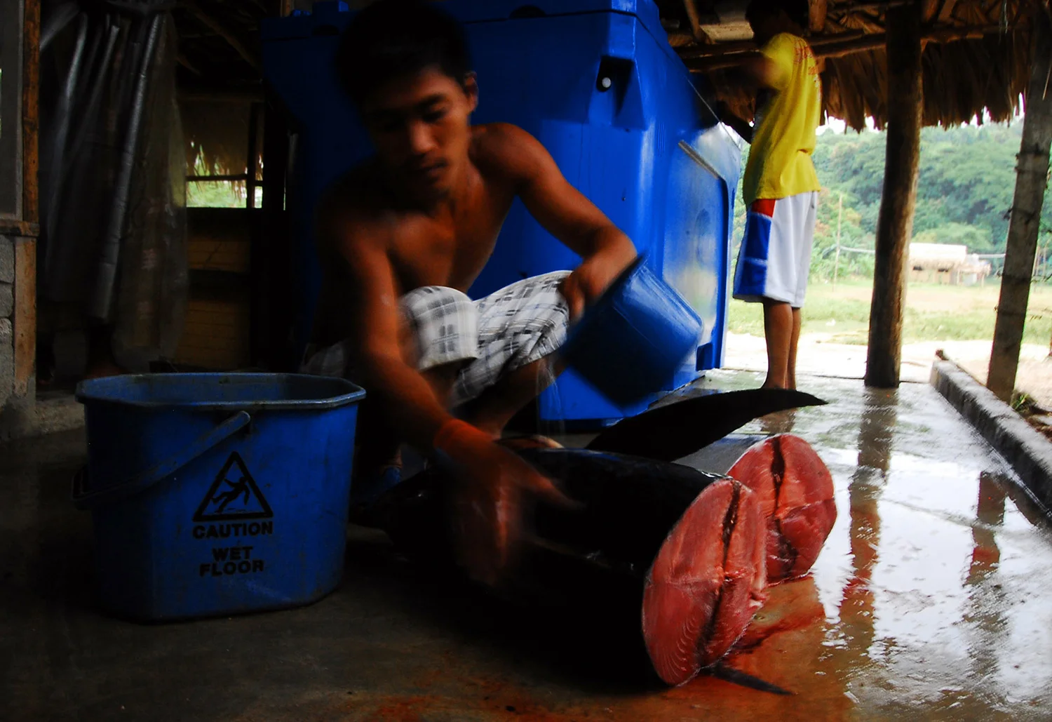 An adult Yellowfin tuna is sliced and graded at a Casa or processing centre. Well-handled tuna meat is thrice as valuable as Grade-B or C meat. PPTST works to improve tuna handling practices to maximize profit for Pinoy fishers and traders. (Photo by Gregg Yan/WWF)