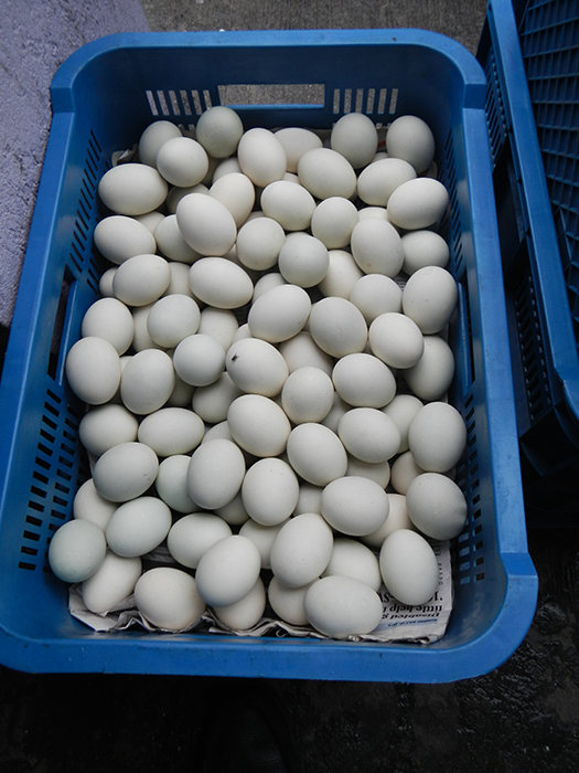 Balut (Source: wikipedia.org)