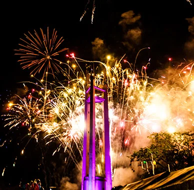 Ring In the New Year