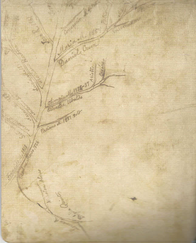 A sketch of Rizal's family tree on the envelope which covered the book (Scanned from&nbsp;Jose Rizal's&nbsp;Haec Est Sibylla Cumana&nbsp;)