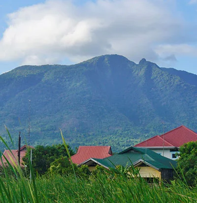 Mt. Arayat Is a Pain in the Ascent