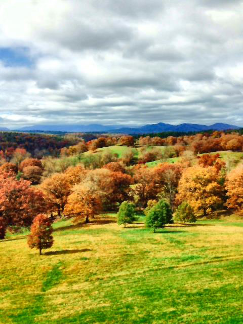 Biltmore scenery (Photo by Gemma Nemenzo)