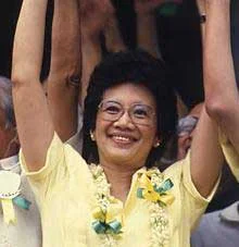 Countdown to the Revolution Part 2: The Election and its Aftermath