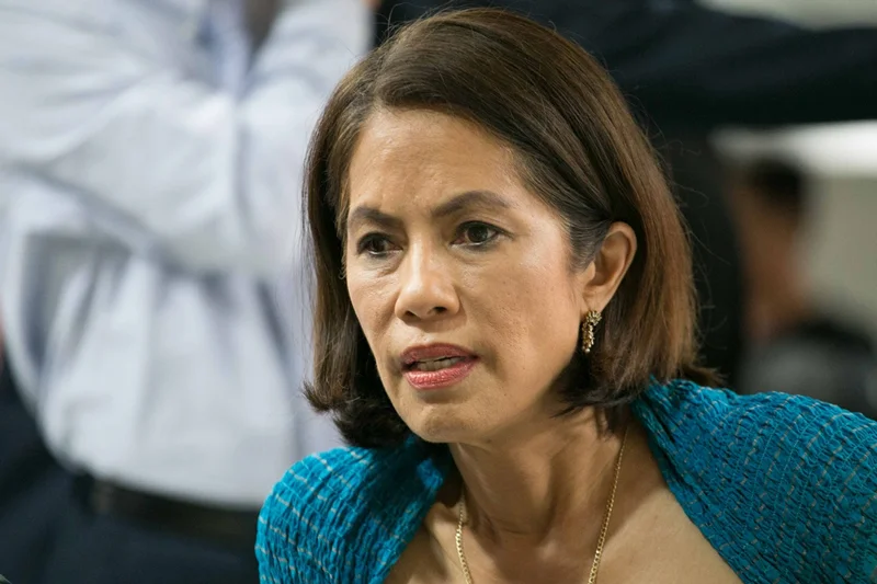 New Department of Environment and Natural Resources Secretary Gina Lopez (Source: ABS-CBN News)