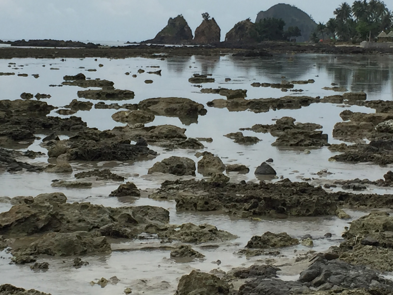 Miles of coral rock formations on the beach with Aniao Islets in the background. (Photo by Omar Paz)
