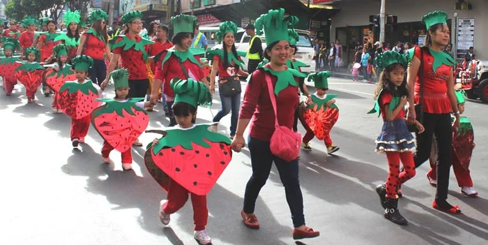 The Strawberry Festival (Source: DZRH News)