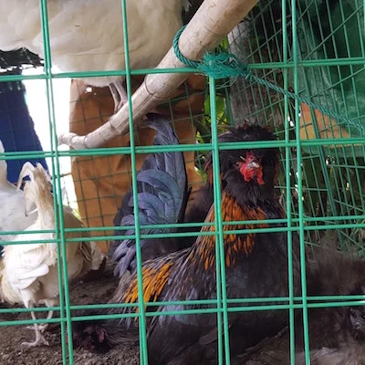 Waking Up in the Philippines