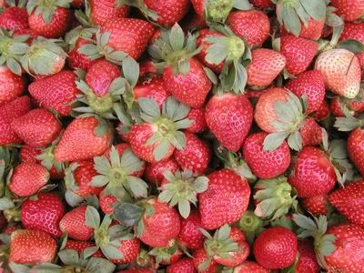 La Trinidad strawberries (Source: wikipedia)